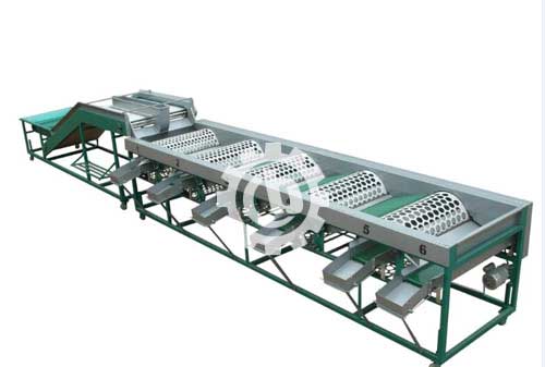 Garlic Grading Machine