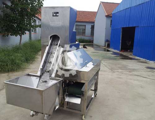 Onion Peeling Machine