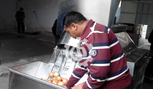 Onion Peeling and Root Cutting Machine Running In India