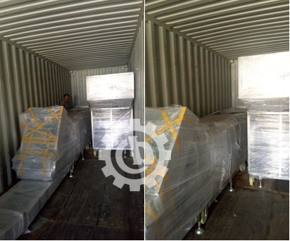 Onion Processing Equipment Delivered to Poland and Korea
