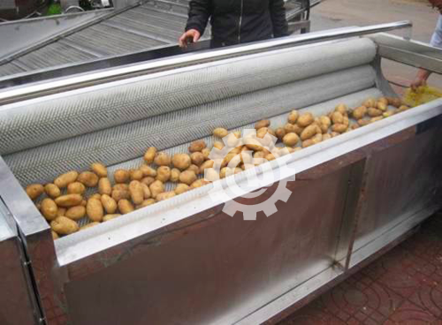 Turmeric Ginger Washing Peeling Machine